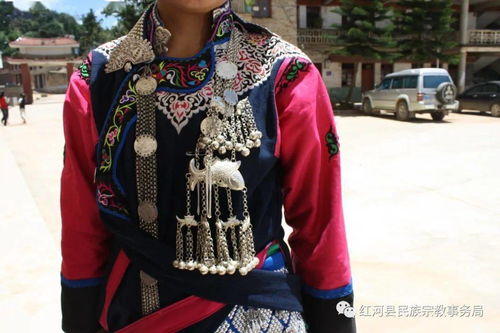 寻根 红河县 绚丽多彩的彝族服饰